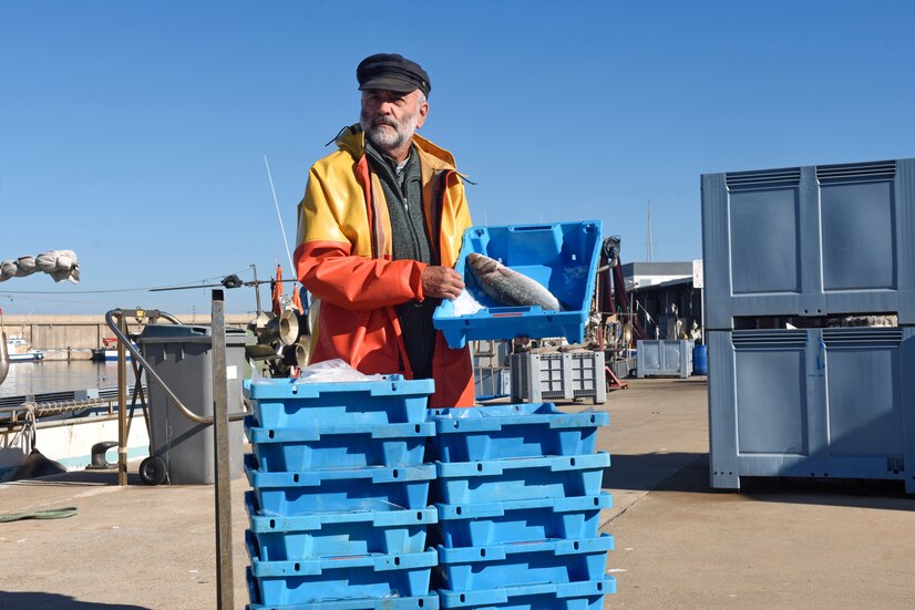 http://Seafood-Quality-Control